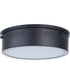 Fenn LED Flushmount Flat Black