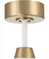 60" Envy 1-Light Indoor/Outdoor Ceiling Fan White/Satin Brass