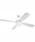 52" Sebastion 2-Light Indoor/Outdoor Ceiling Fan White