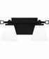 Daniels Medium Bath Light Matte Black