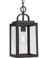 Grandbury 1-Light Transitional Clear Glass Outdoor Hanging Light Antique Bronze