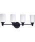 Dardyn 4-Light Bath Vanity Light Espresso