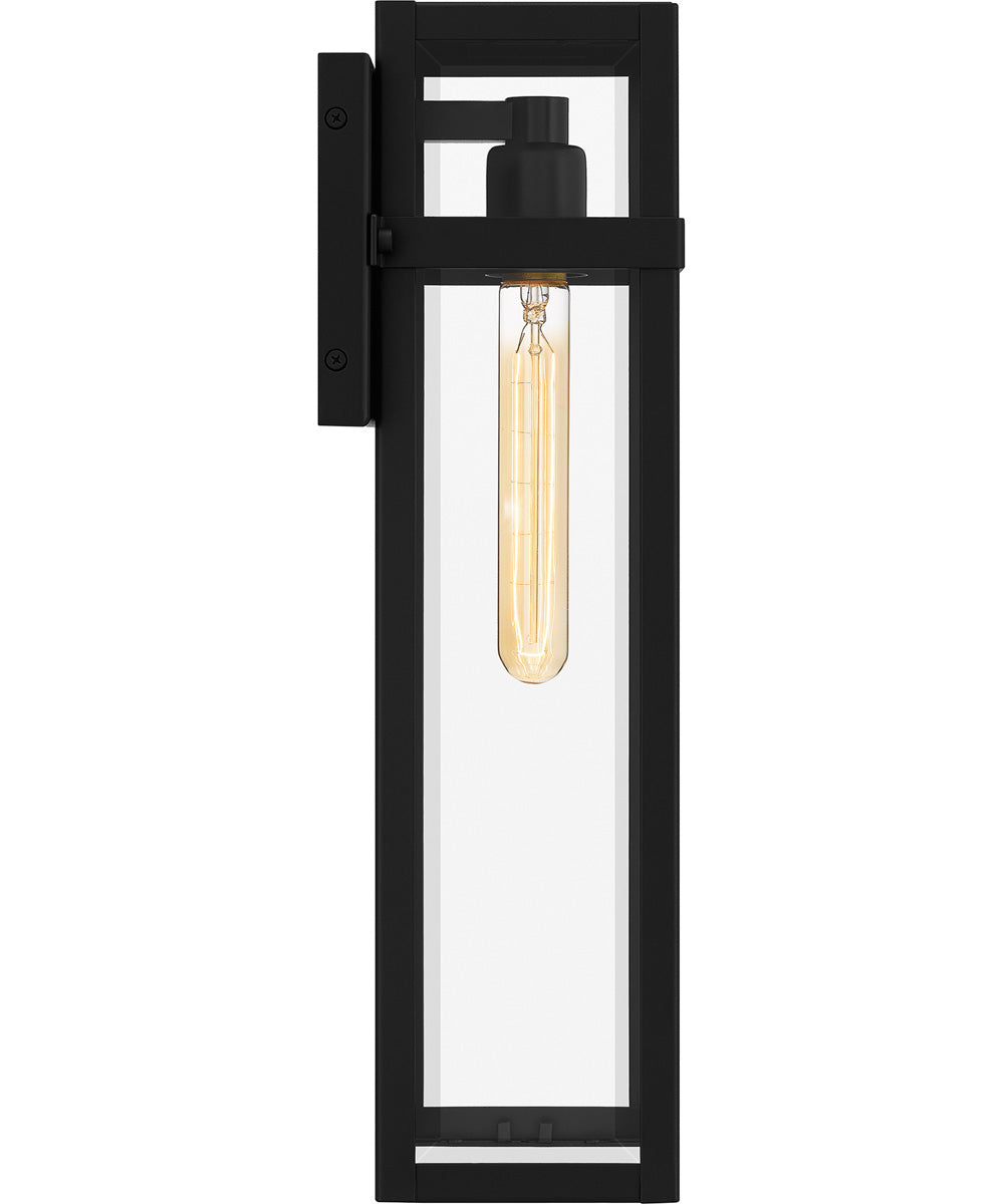 Vanessa Large 1-light Outdoor Wall Light  Coastal Armour Aluminum Matte Black