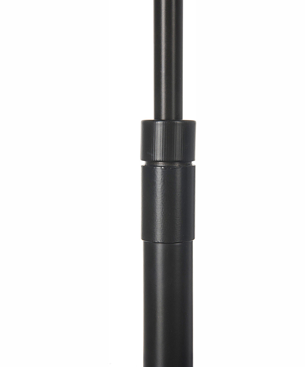 Pharma Collection 1-Light Led Floor Lamp Dark Bronze