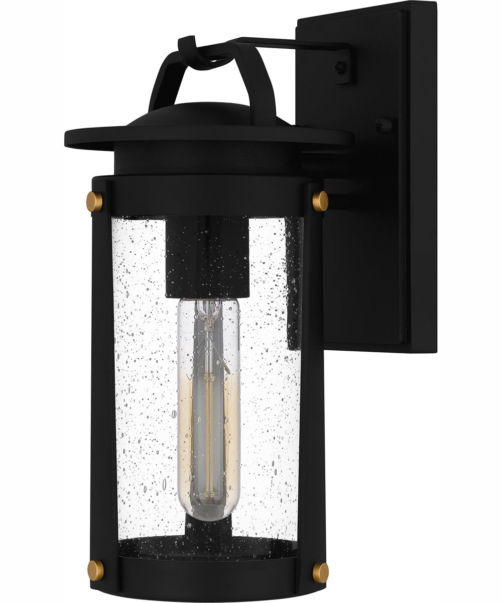 Clifton Small 1-light Outdoor Wall Light  Coastal Armour Aluminum Earth Black