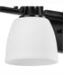 Preston 3-Light Coastal Bath Vanity Light Matte Black