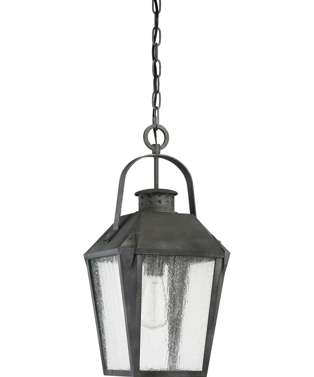 Carriage Large 1-light Outdoor Pendant Light Mottled Black