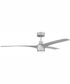 60" Phoebe 1-Light Indoor/Outdoor Ceiling Fan Painted Nickel