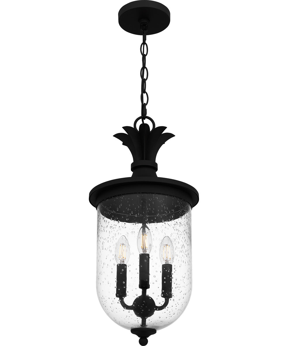Havana Large 3-light Outdoor Pendant Light Earth Black