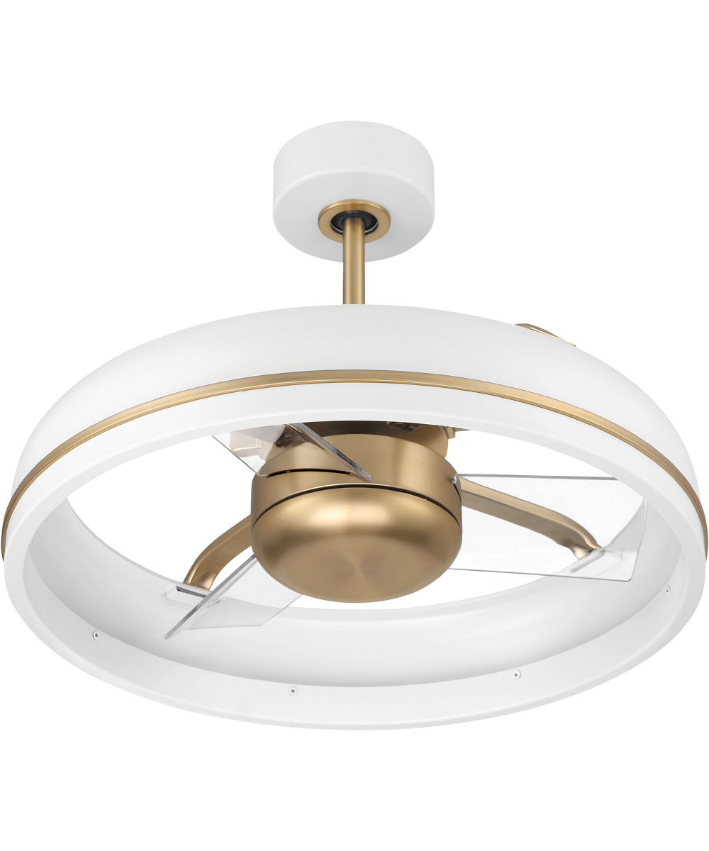 Taylor 24" 1-Light Ceiling Fan (Blades Included) White/Satin Brass