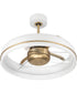 Taylor 24" 1-Light Ceiling Fan (Blades Included) White/Satin Brass