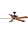 Ceiling Fans and Accessories