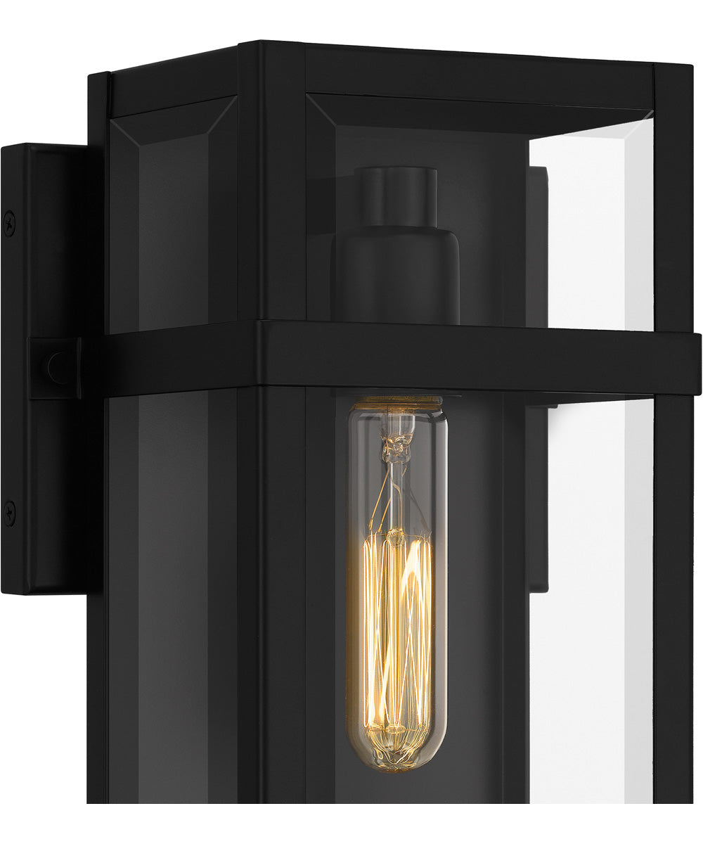 Vanessa Medium 1-light Outdoor Wall Light  Coastal Armour Aluminum Matte Black