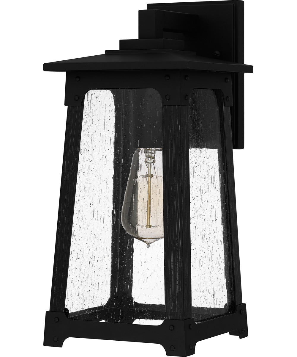 Drescher Medium 1-light Outdoor Wall Light  Coastal Armour Aluminum Matte Black