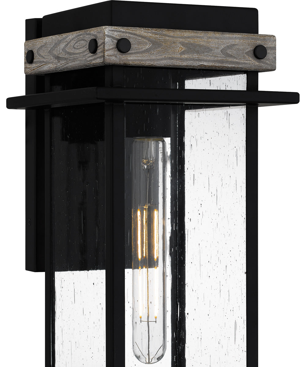 Strader Medium 1-light Outdoor Wall Light Matte Black