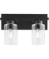 Carter 2-light Bath Vanity Light Matte Black