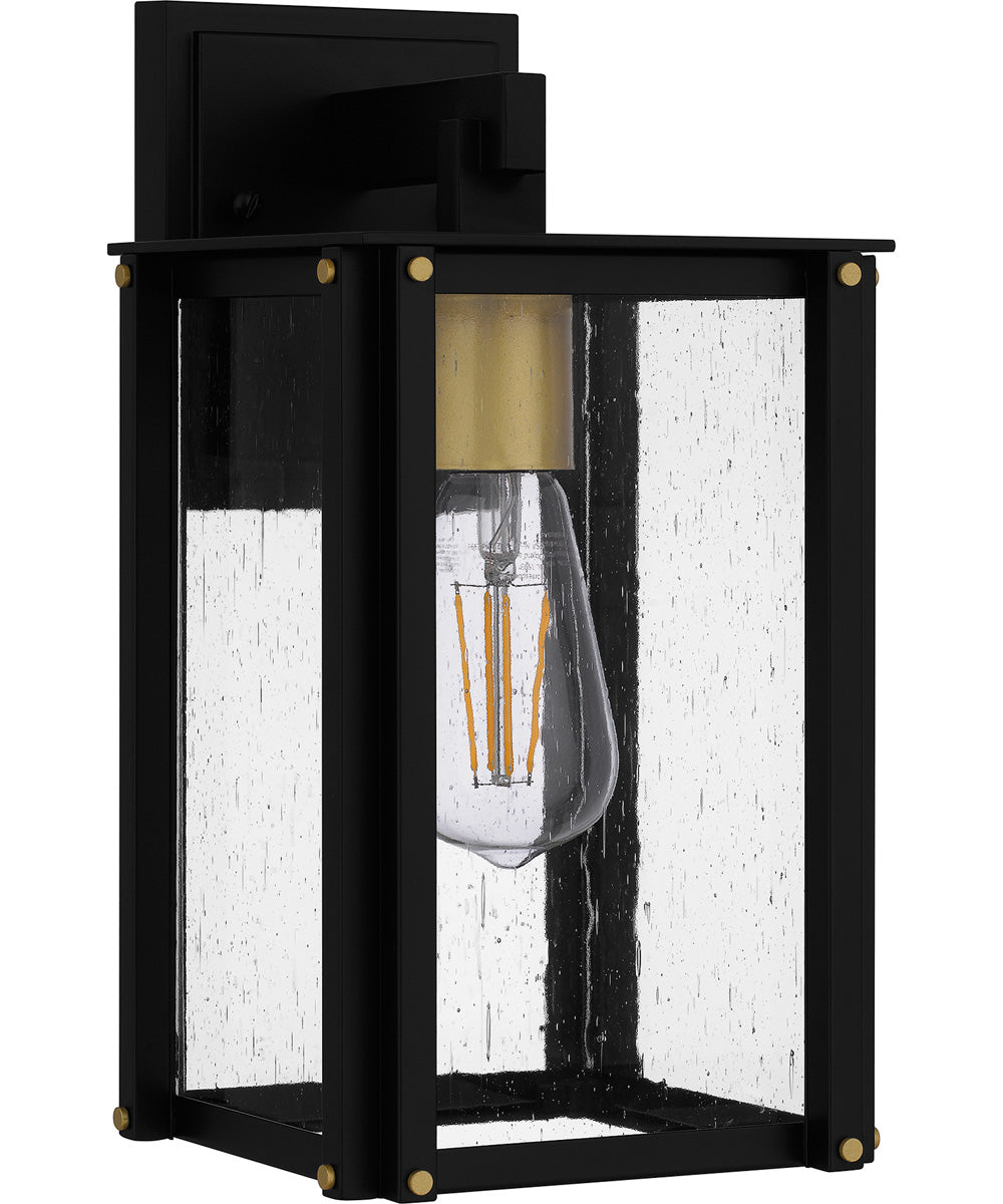 Robbins Small 1-light Outdoor Wall Light  Coastal Armour Aluminum Matte Black