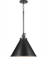 Hinton 1-Light Modern Farmhouse Pendant Matte Black