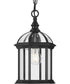 Dillard 1-Light Traditional Clear Glass Outdoor Hanging Light Textured Black