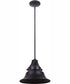 Union 1-Light Pendant Midnight