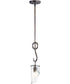 5"W Citadel 1-Light Mini Pendant Chestnut Bronze