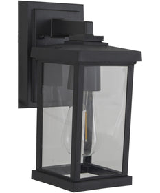 Resilience Lanterns 1-Light Outdoor Lantern Textured Black