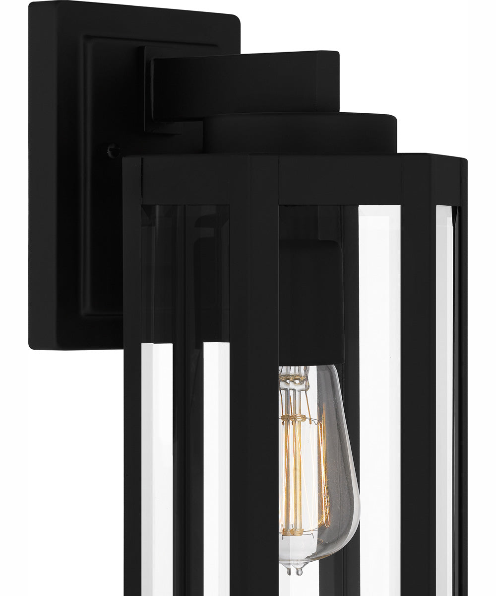 Mesnick Medium 1-light Outdoor Wall Light Matte Black