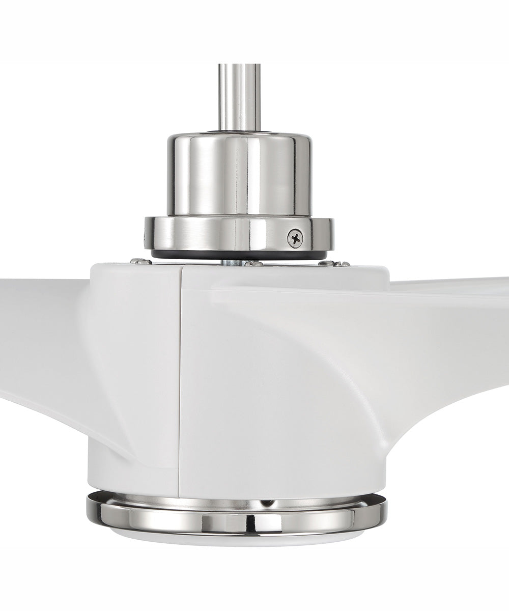 60" Phoebe 1-Light Indoor/Outdoor Ceiling Fan White / Polished Nickel