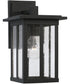 Barrett 1-Light Outdoor Wall-Lantern Rain or Shine - Black