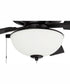 60" Outdoor Super Pro 211 2-Light Indoor/Outdoor Ceiling Fan Flat Black