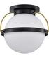 Lakeshore 1-Light Close-to-Ceiling Matte Black