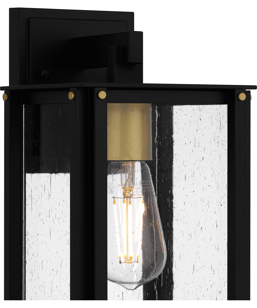 Robbins Small 1-light Outdoor Wall Light  Coastal Armour Aluminum Matte Black