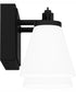 Daniels Medium Bath Light Matte Black