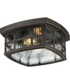 Outdoor Ceiling Lights