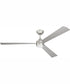 60" Sterling 1-Light Indoor/Outdoor Ceiling Fan Painted Nickel