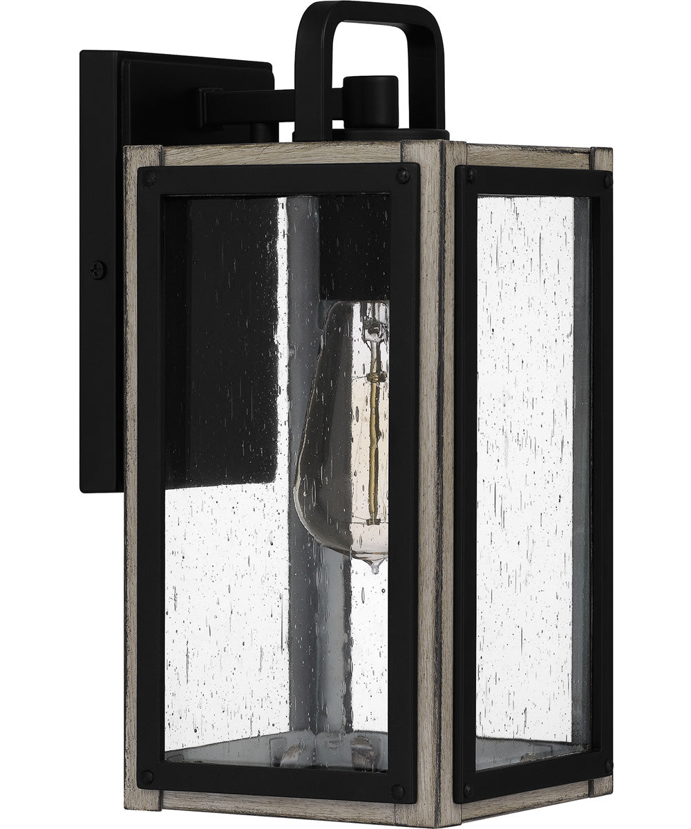 Bramshaw Small 1-light Outdoor Wall Light  Coastal Armour Aluminum Matte Black