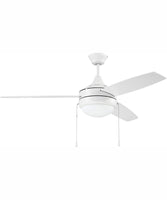 Ceiling Fans with Lights