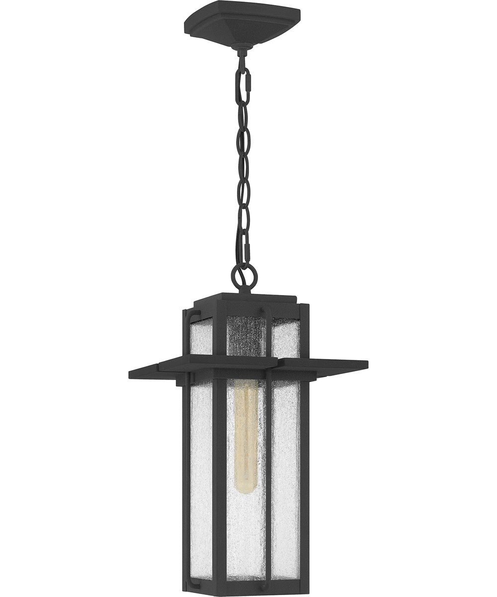 Randall Large 1-light Outdoor Pendant Light  Coastal Armour Aluminum Mottled Black