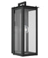 Hunt 1-Light Outdoor Wall Mount Rain or Shine - Black with Clear Glass