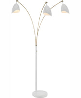Floor Lamps with Shelves