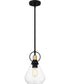 Quoizel Piccolo Pendant Small 1-light Mini Pendant Matte Black