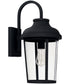 Dunbar 1-Light Outdoor Wall Mount Rain or Shine - Black with Clear Glass