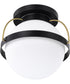 Lakeshore 1-Light Close-to-Ceiling Matte Black