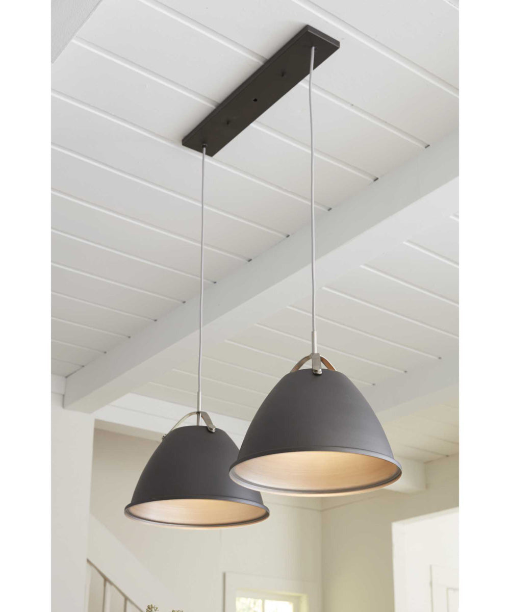 Tre 1-Light Metal Shade Coastal Pendant Light Graphite
