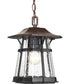 Derby 1-Light Hanging Lantern Espresso