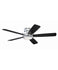 Ceiling Fans with Remotes