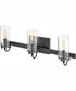 Ryden 3-Light Three Light Vanity in Black