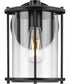 Gunther 1-Light Modern Farmhouse Medium Wall Lantern Matte Black