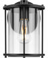 Gunther 1-Light Modern Farmhouse Medium Wall Lantern Matte Black