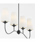 Euphora 4-light Chandelier Matte Black